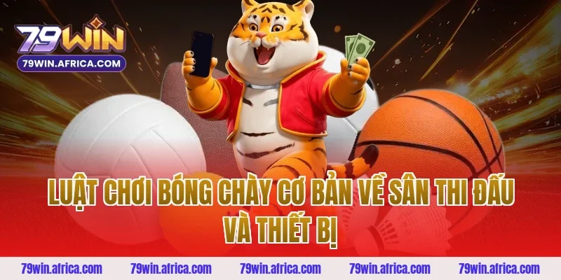 Luật chơi bóng chày cơ bản về sân thi đấu và thiết bị