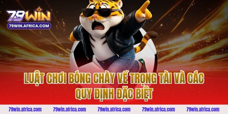 Luật chơi bóng chày về trọng tài và các quy định đặc biệt