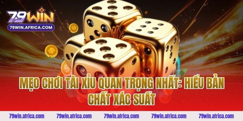 Mẹo Chơi Tài Xỉu Quan Trọng Nhất: Hiểu Bản Chất Xác Suất
