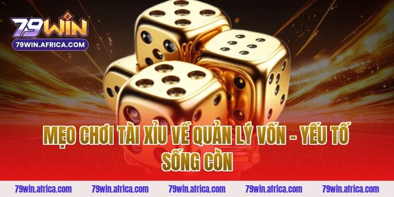 Mẹo Chơi Tài Xỉu Về Quản Lý Vốn – Yếu Tố Sống Còn