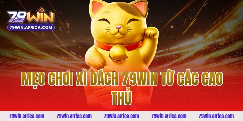 Mẹo chơi xì dách 79win từ các cao thủ