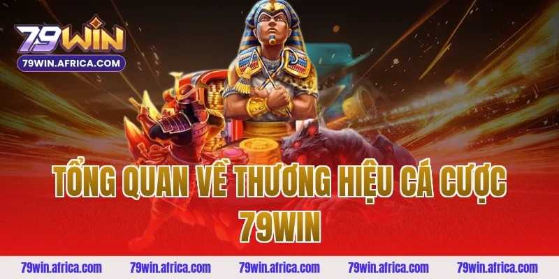 Tổng quan về thương hiệu cá cược 79WIN