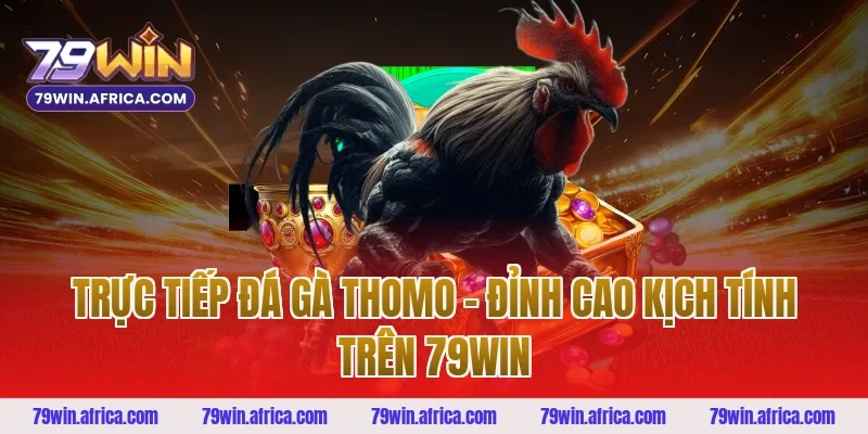 Trực Tiếp Đá Gà Thomo – Đỉnh Cao Kịch Tính Trên 79win