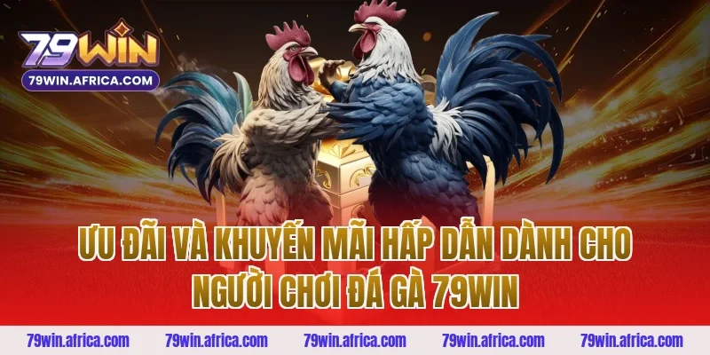 Ưu Đãi Và Khuyến Mãi Hấp Dẫn Dành Cho Người Chơi Đá Gà 79win