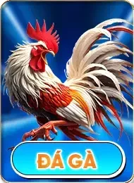 Đá gà 79win